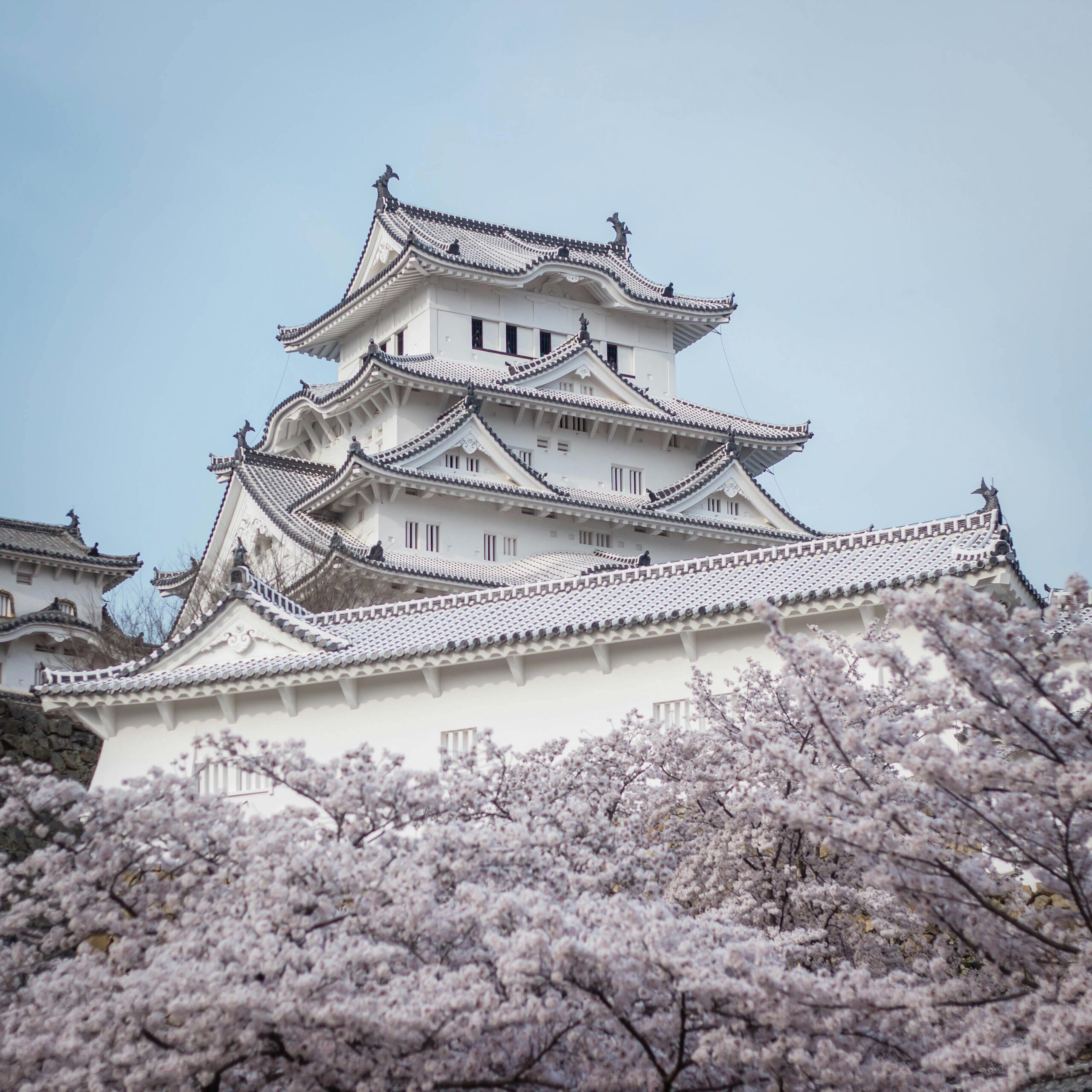 探索日本之美：十大必訪景點