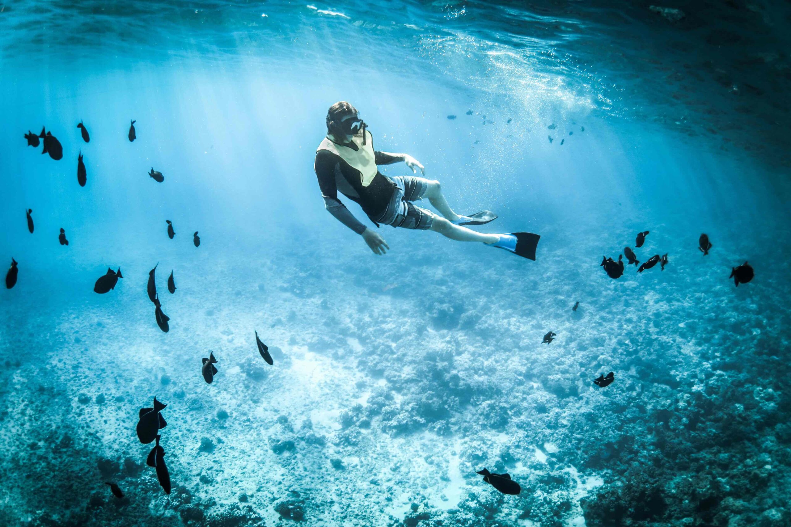 潛水保險大揭秘：你真的有足夠的保障嗎？